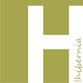 Contact Hibernia Apartments To Schedule A Visit